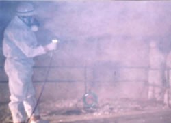 ������܂̐��t��