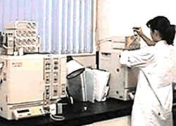 ����iGC���́j