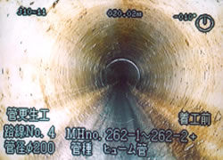 ���H�O�@�Ǔ�