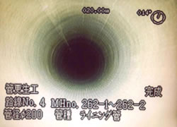 �����@�Ǔ�