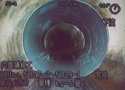 �����@�Ǔ�