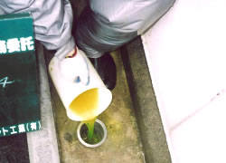 �J���z���ǂւ̗�������