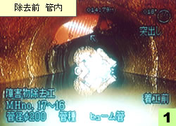 �����O�Ǔ�