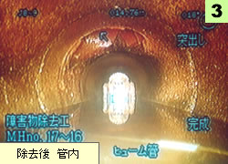 ������Ǔ�