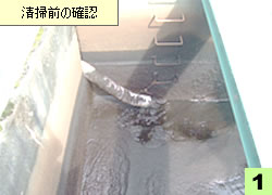 ���|�O�̊m�F