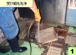 ���Ă���